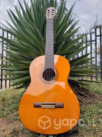 Guitarra Clásica Yamaha C40 - Imagen 5