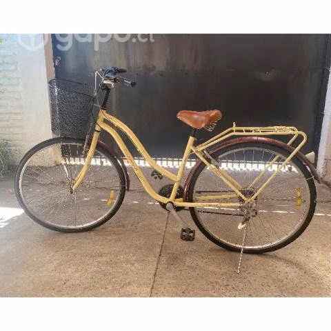 bicicleta de paseo