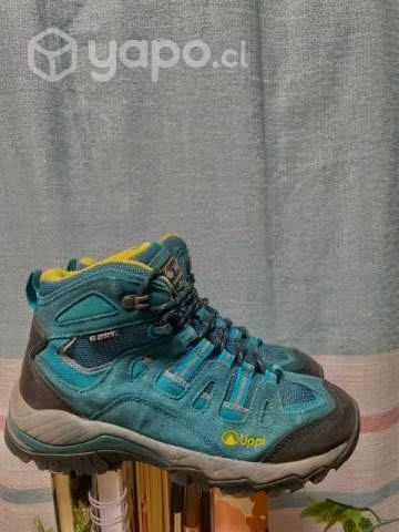 Zapatos lippi