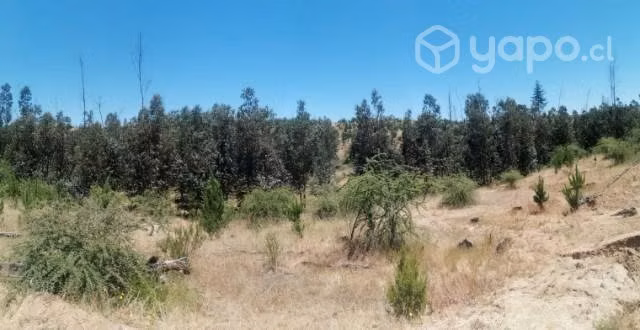 terreno - Imagen 3
