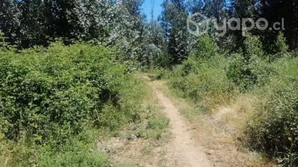 terreno - Imagen 2