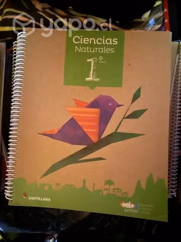 Libros 1° básico, santillana proyecto todos juntos