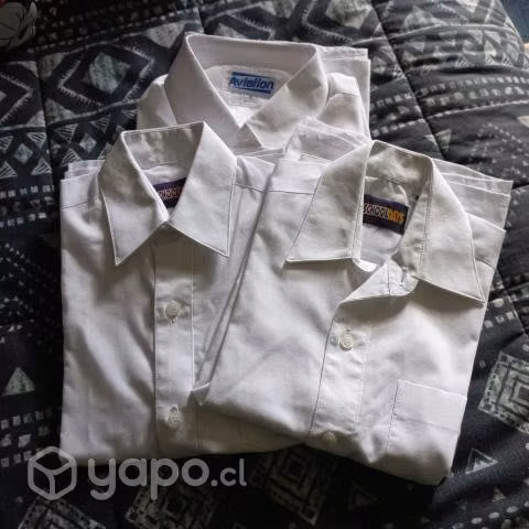 Uniforme don bosco