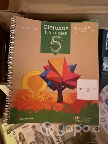 Libros 5° básico Santillana proyecto todos juntos