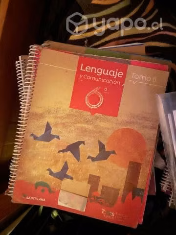 Libros 6° básico santillana proyecto todos juntos