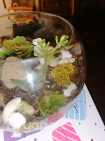 Jardines en miniatura para decorar tu hogar