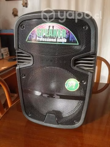 Amplificador speaker profesional