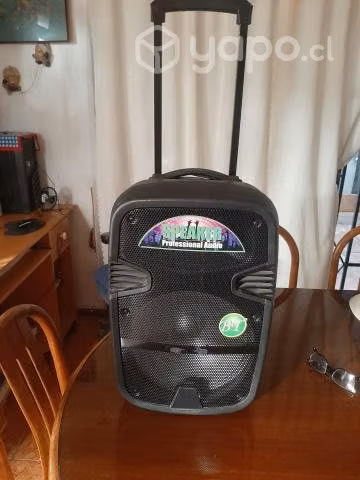 Amplificador speaker profesional