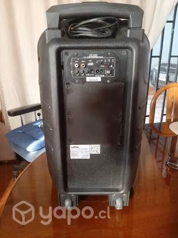 Amplificador speaker profesional