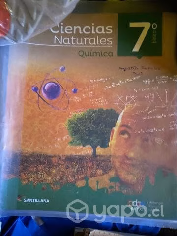 Libros 7° básico, Santillana, proyecto todos junto