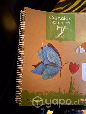 Libros 2° básico santillana proyecto todos juntos