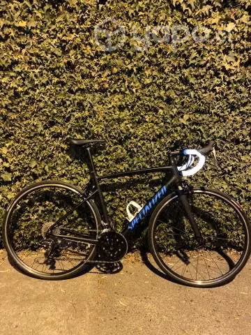 Bicicleta de ruta Specialized