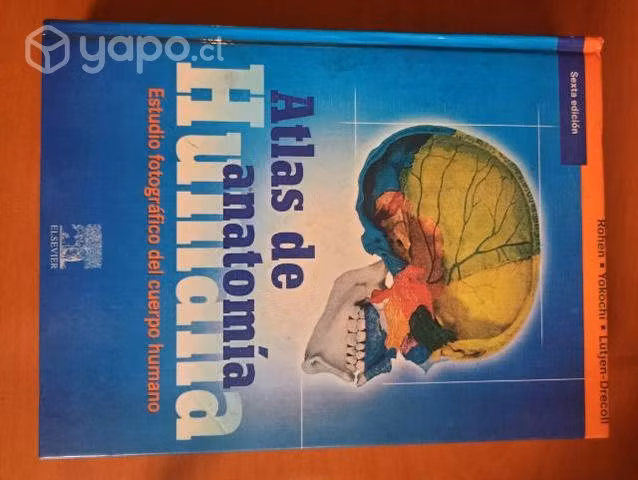 Atlas de anatomía humana - Rohen/Yokochi