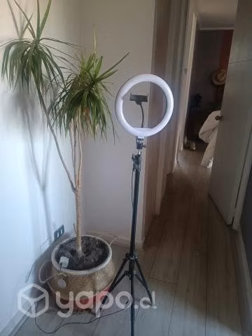 Aro de luz - Imagen 2