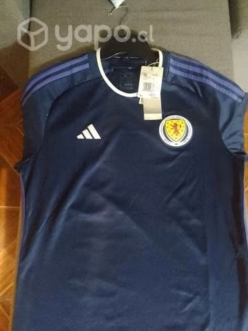 Camisetas de equipos originales