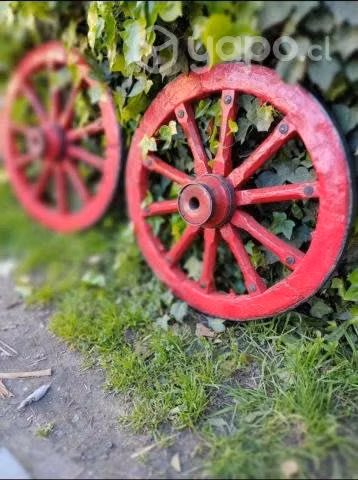 Ruedas de carreta - Imagen 3