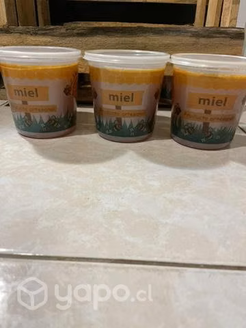 Miel de ulmo 100% natural - Imagen 2