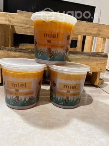 Miel de ulmo 100% natural