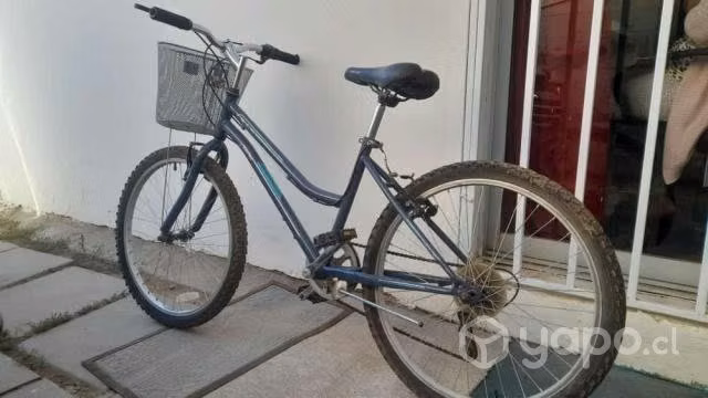 Bicicleta aro 24