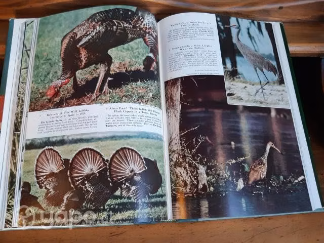 Libro National Geographic 1961 Colección Pájaros