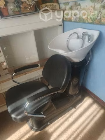 Hermoso lavapelo con cabezal movible excelente cal