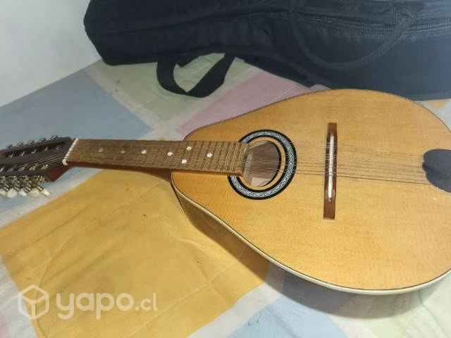 Mandolina 10 cuerdas