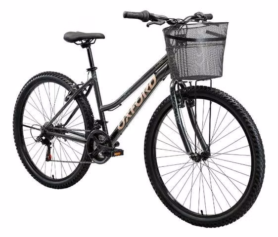 Bicicleta Oxford sin detalles