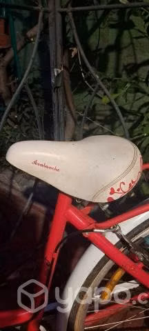Bicicleta de mujer - Imagen 2