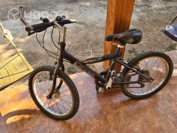 Bicicleta bianchi aro 20