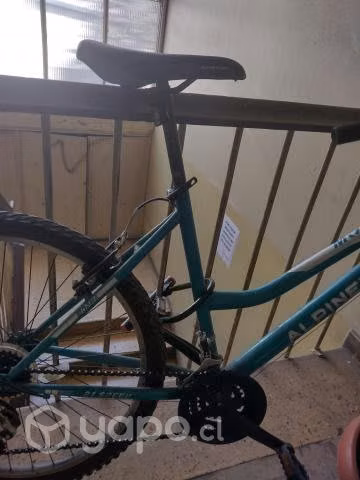 Bicicleta mountainbike aro 26