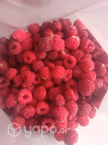 Fruta congelada