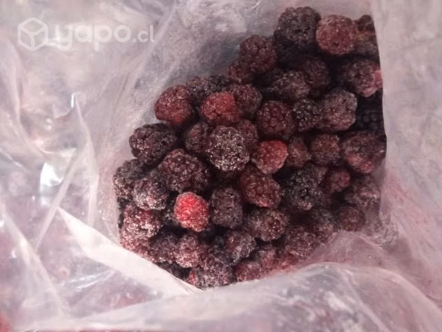 Fruta congelada - Imagen 4