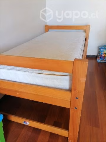 Cama