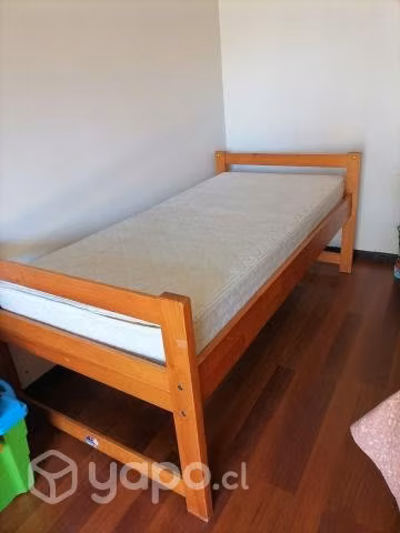 Cama