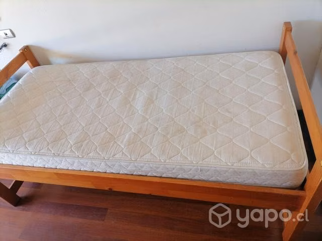 Cama