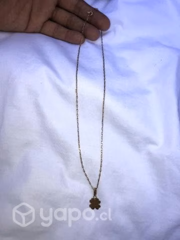 Cadena de oro