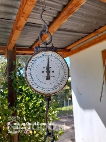 Balanza colgante