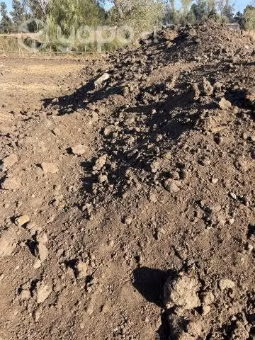 Guano de Vacuno