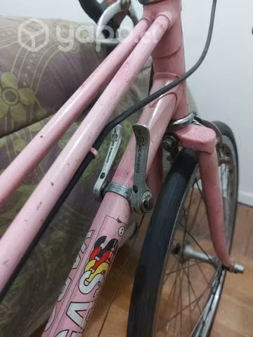 Pistera de colección aro 22