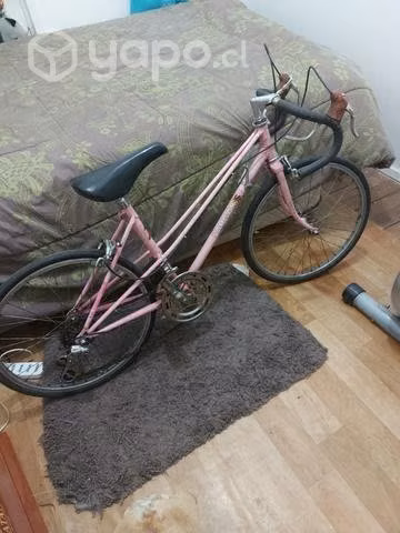 Pistera de colección aro 22