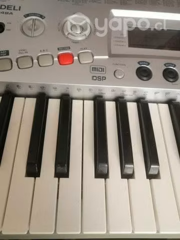 Teclado básico para aprender a tocar - Imagen 2