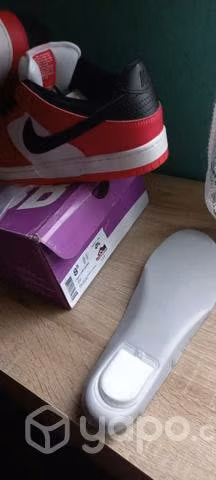 Zapatillas Dunk Low Chicago