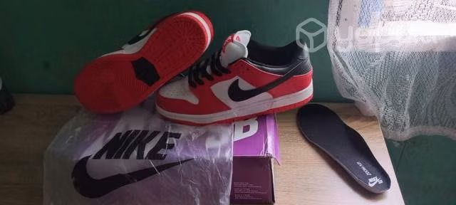 Zapatillas Dunk Low Chicago