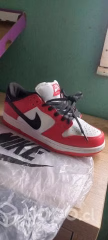 Zapatillas Dunk Low Chicago
