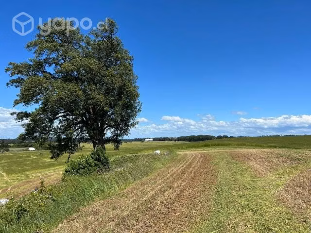Parcelas con hermosas vistas a 15 min de Osorno