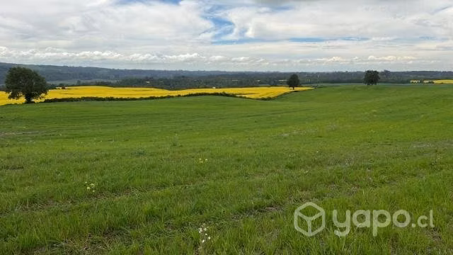 Parcelas con hermosas vistas a 15 min de Osorno