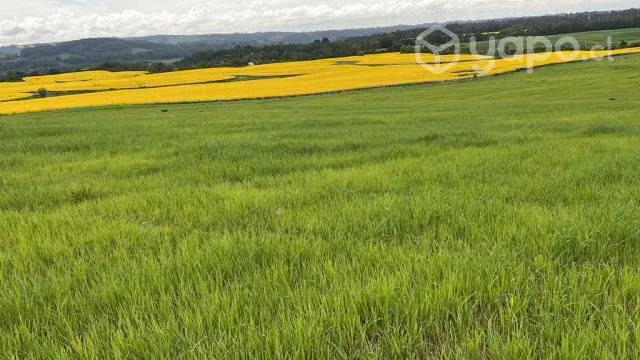 Parcelas con hermosas vistas a 15 min de Osorno