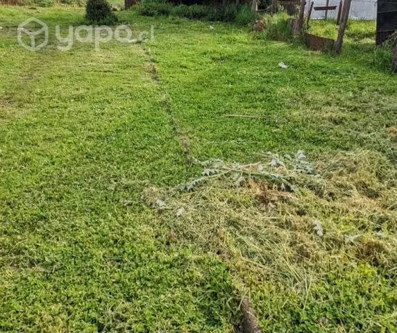 Corte de pasto
