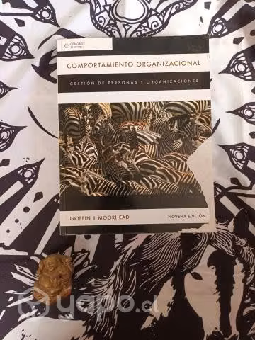 Comportamiento Organizacional