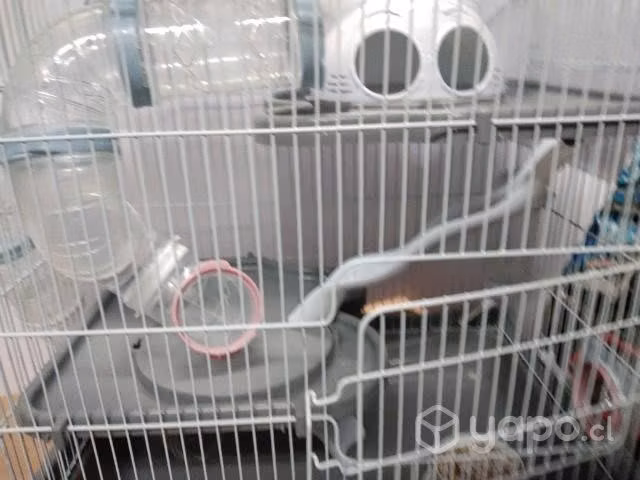 Jaula hamster
